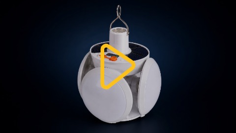 Відеоогляд
